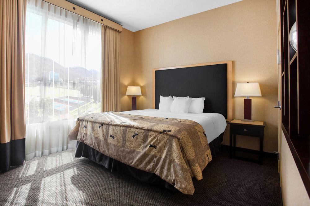 สปริงฮิลล์ สวีท โรอาโนก Hotel ภายนอก รูปภาพ