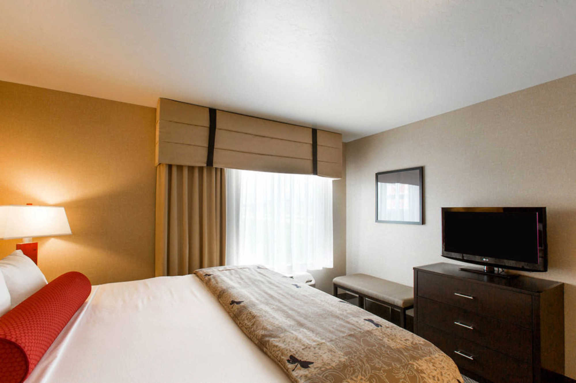 สปริงฮิลล์ สวีท โรอาโนก Hotel ห้อง รูปภาพ